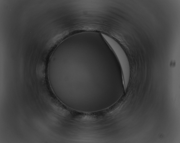 X0000091460303200708301837