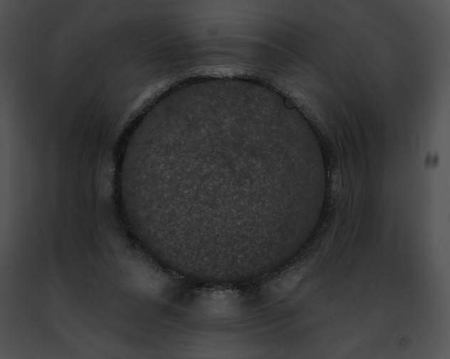 X0000091460304200708301837