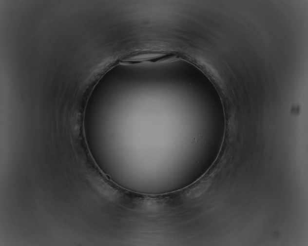 X0000091460305200708301837