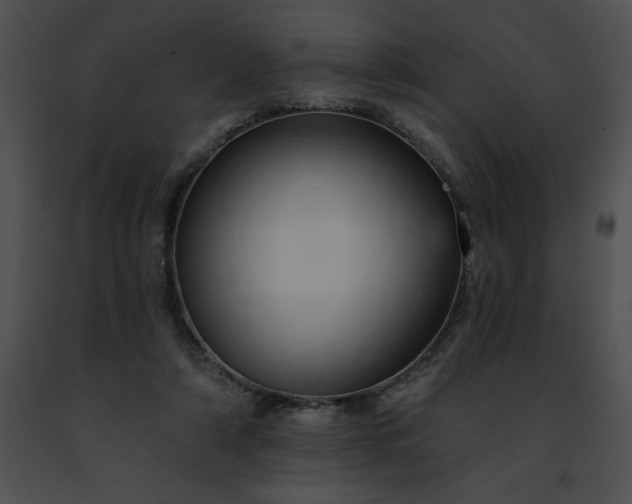 X0000091460306200708301837