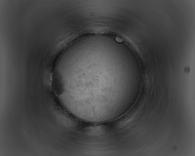 X0000091460307200708301837