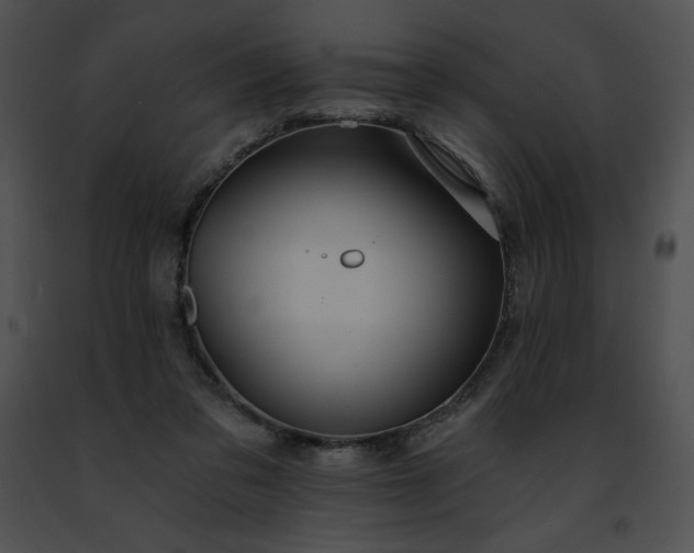 X0000091460309200708301837