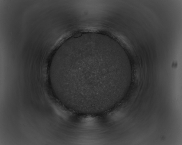 X0000091460312200708301837