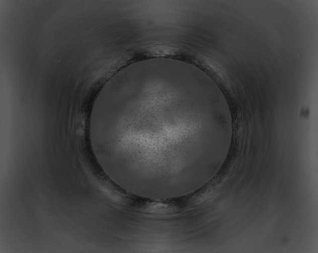 X0000091460315200708301837