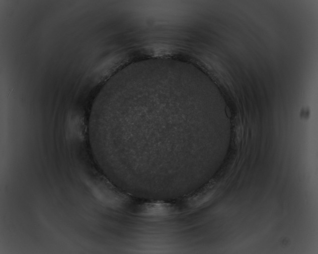 X0000091460316200708301837