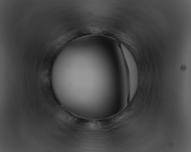 X0000091460317200708301837