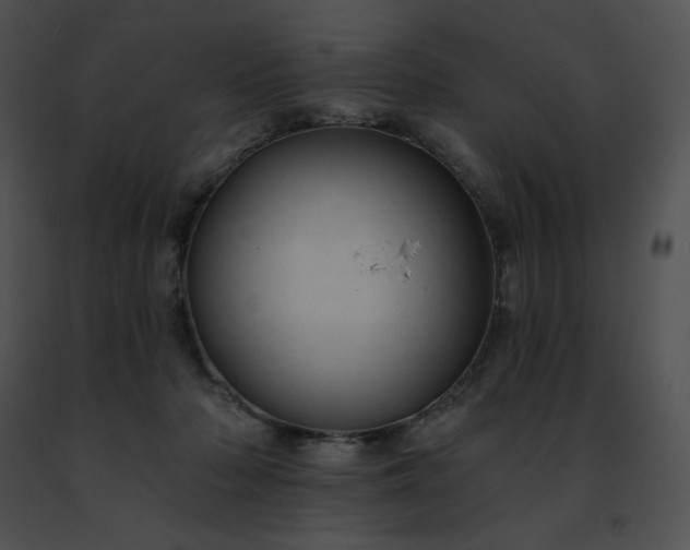 X0000091460318200708301837