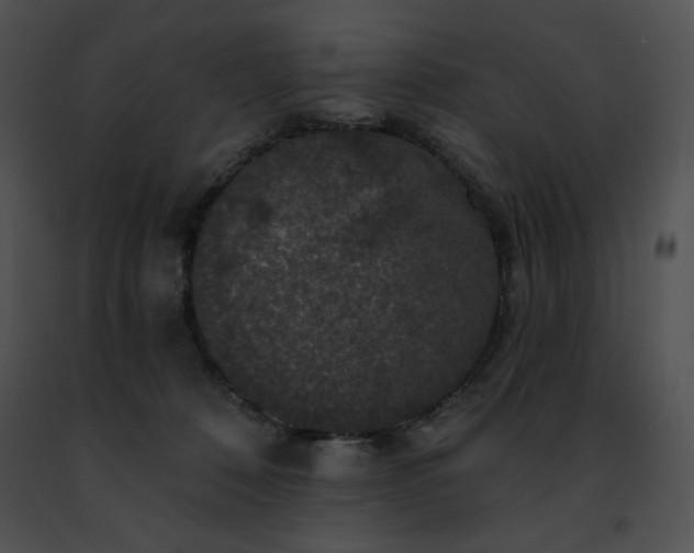 X0000091460320200708301837