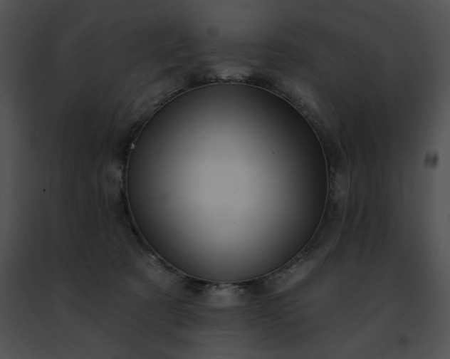 X0000091460321200708301837