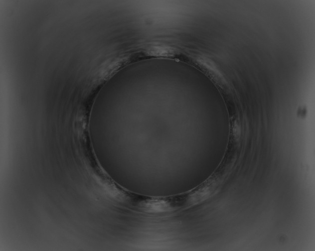 X0000091460322200708301837