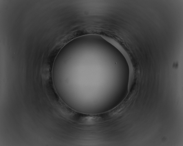 X0000091460323200708301837