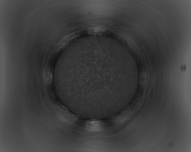 X0000091460324200708301837