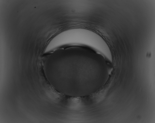 X0000091460325200708301837