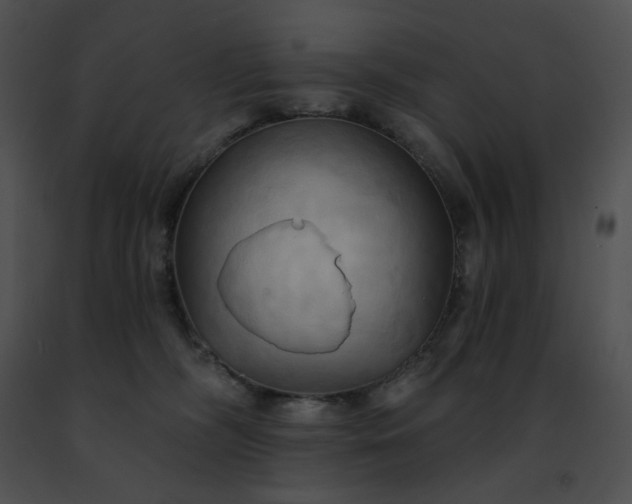 X0000091460326200708301837