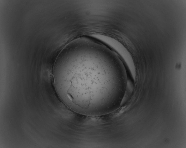 X0000091460329200708301837