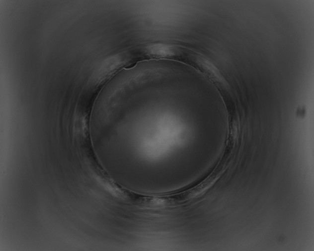 X0000091460330200708301837