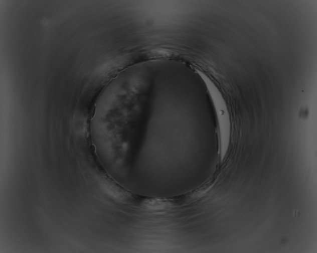 X0000091460331200708301837