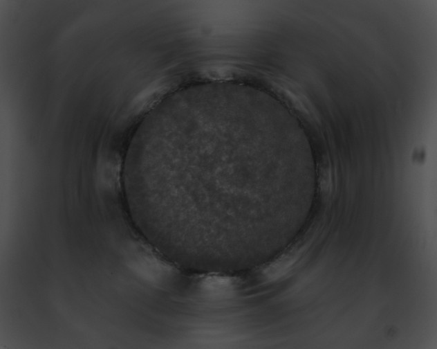 X0000091460332200708301837