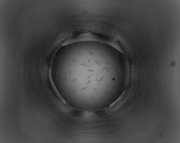 X0000091460333200708301837