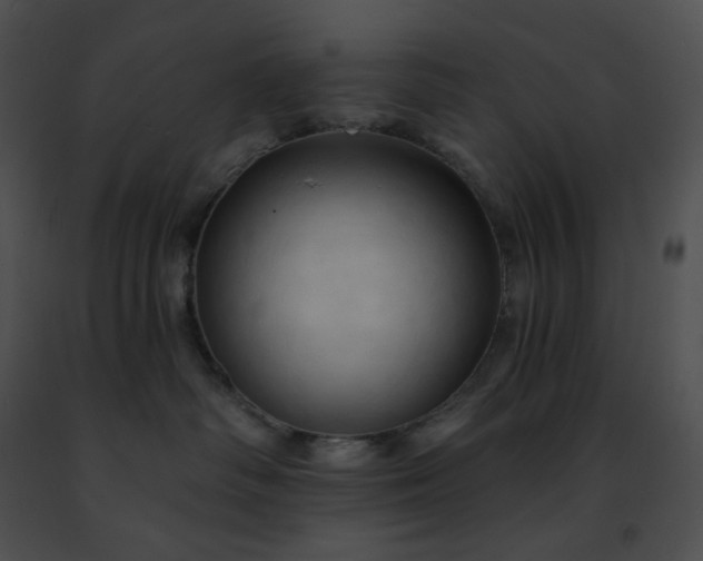 X0000091460334200708301837