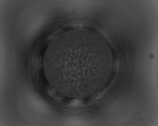 X0000091460335200708301837