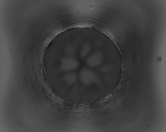 X0000091460337200708301836