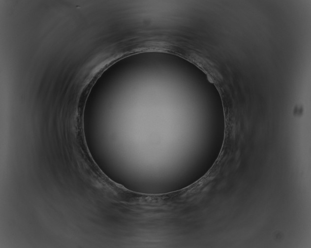 X0000091460338200708301836