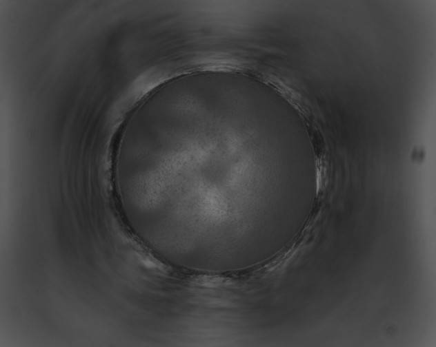 X0000091460339200708301836