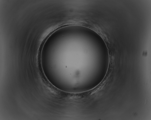 X0000091460340200708301836