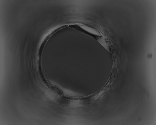 X0000091460342200708301836