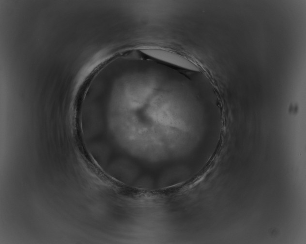 X0000091460343200708301836