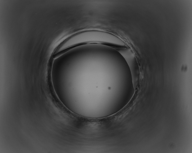 X0000091460344200708301836