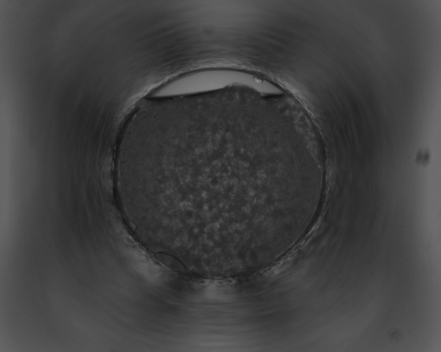 X0000091460345200708301836