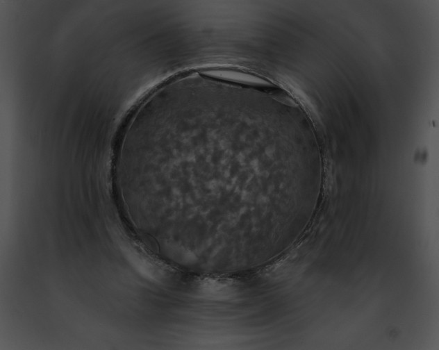 X0000091460346200708301836