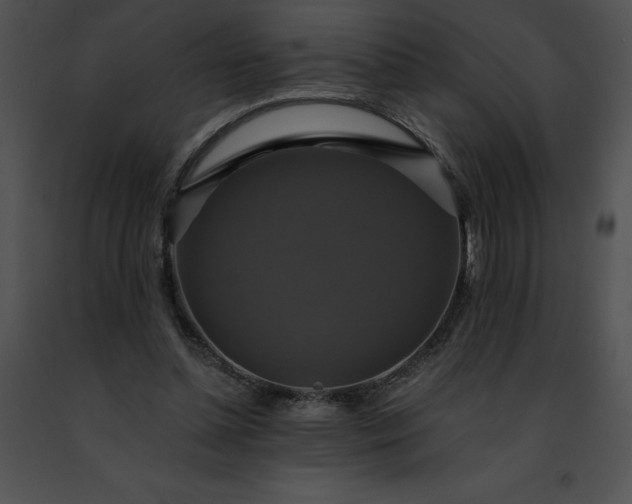 X0000091460348200708301836