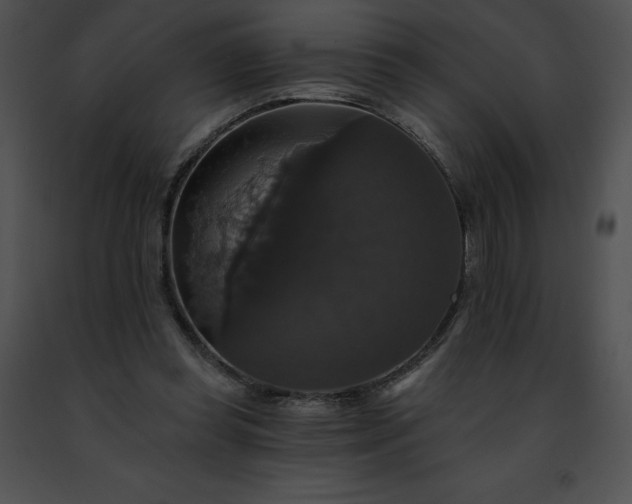 X0000091460349200708301836