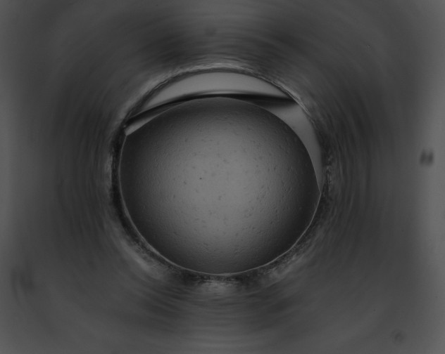 X0000091460350200708301836