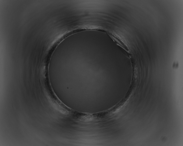 X0000091460351200708301836