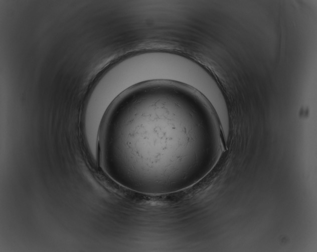 X0000091460352200708301836