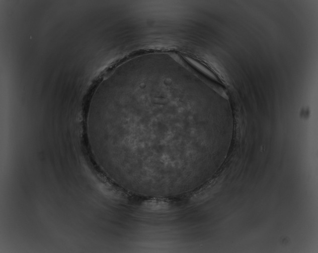 X0000091460354200708301836