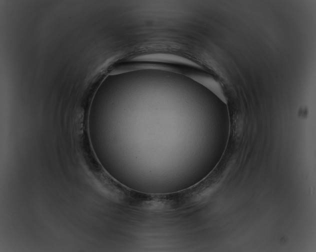 X0000091460356200708301836