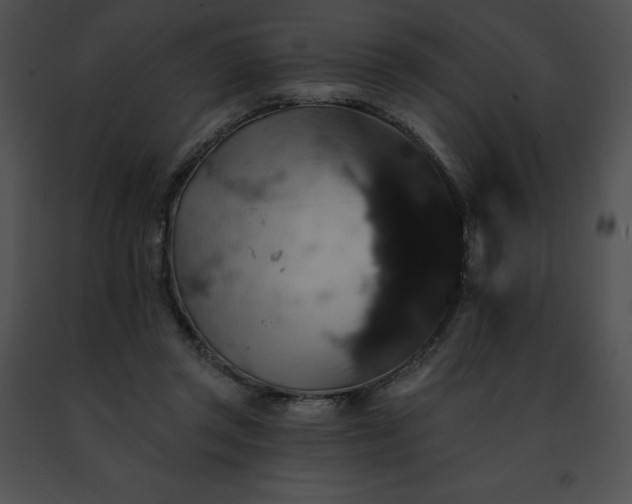 X0000091460357200708301836