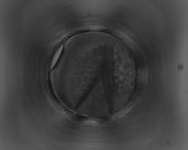 X0000091460358200708301836