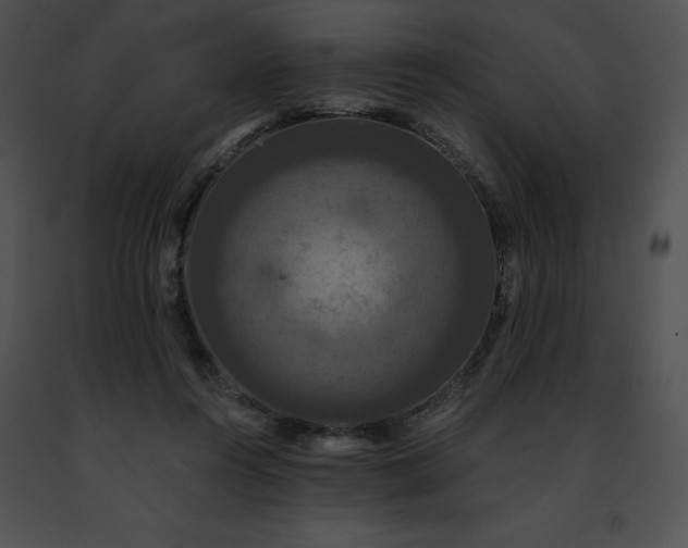 X0000091460360200708301836