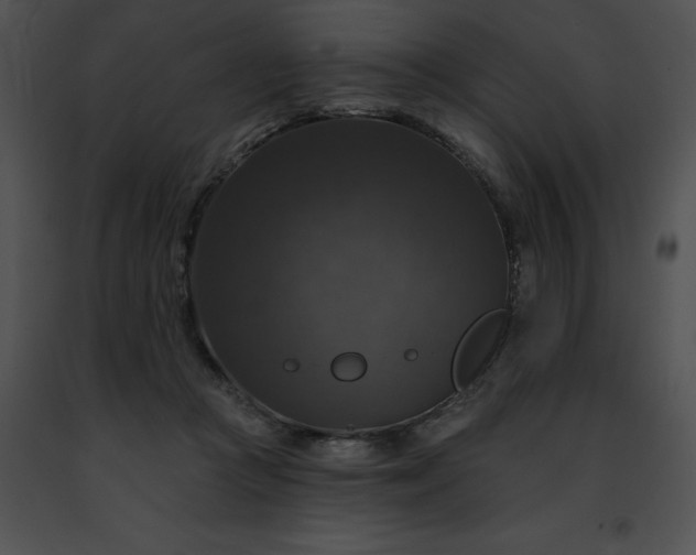 X0000091460361200708301836