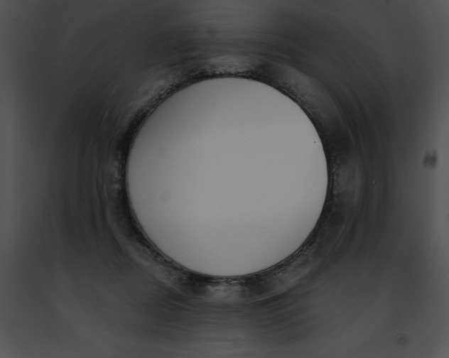 X0000091460362200708301836