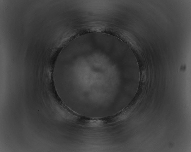 X0000091460363200708301836