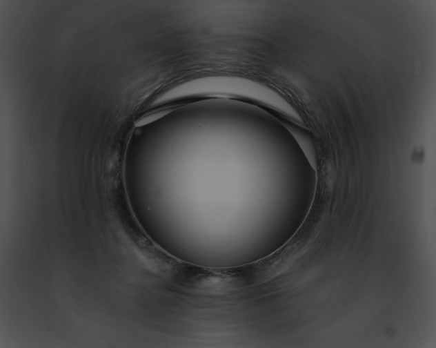 X0000091460364200708301836