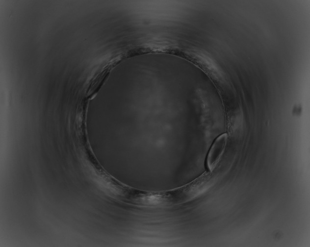 X0000091460365200708301836