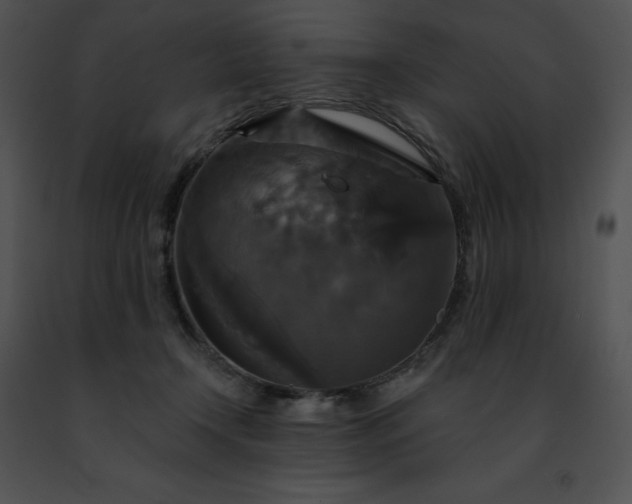 X0000091460366200708301836